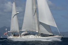 SHAITAN OF TORTOLA -  Profile